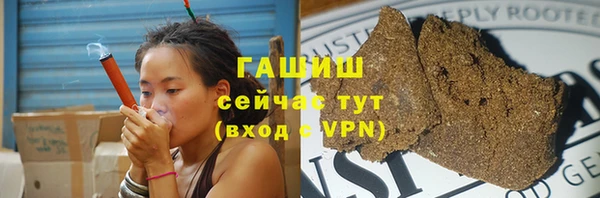 мдпв Бородино
