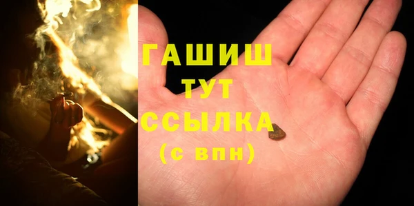 мдпв Бородино
