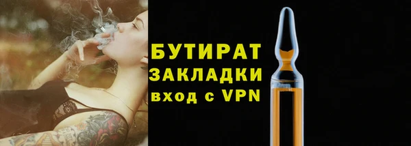 мдпв Бородино