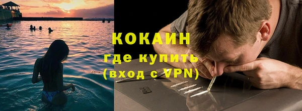 мдпв Бородино
