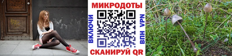Купить где  Старый Крым  Галлюциногенные грибы мицелий 