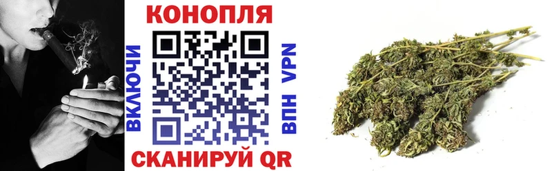 Купить где  Старый Крым  Канабис Amnesia 